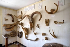 Olduvai_3b