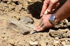 Olduvai_3e