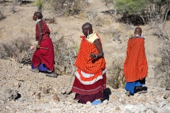 Olduvai_3f